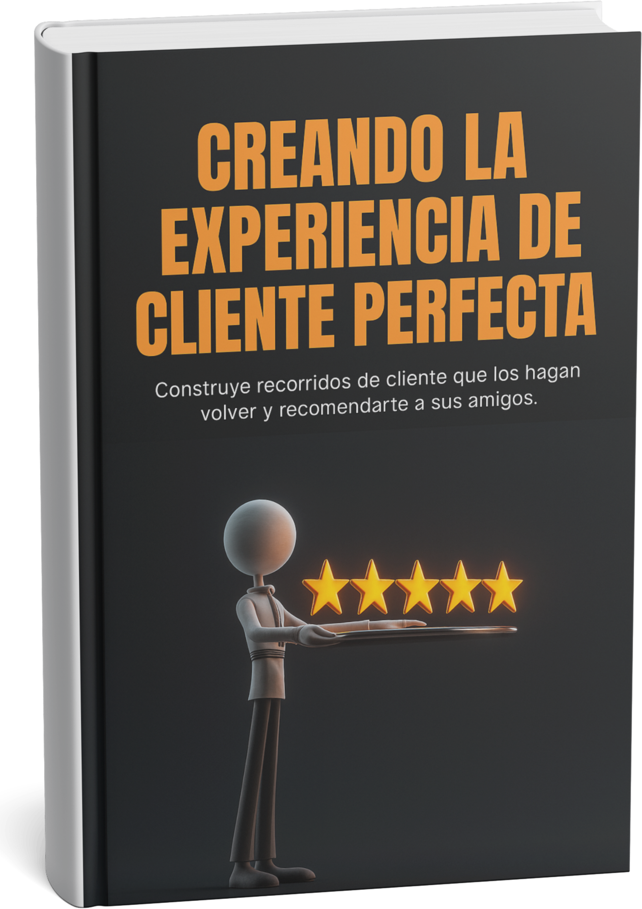 Creando la Experiencia de Cliente Perfecta